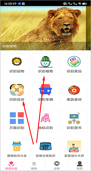 拍照识花神器app