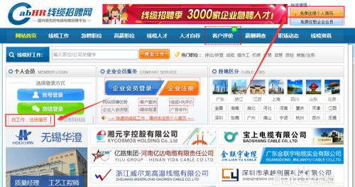 线缆招聘网