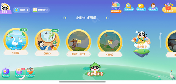 毛豆爱古诗