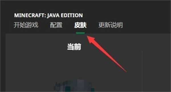 皮肤导入游戏教程截图2