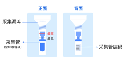 基因宝