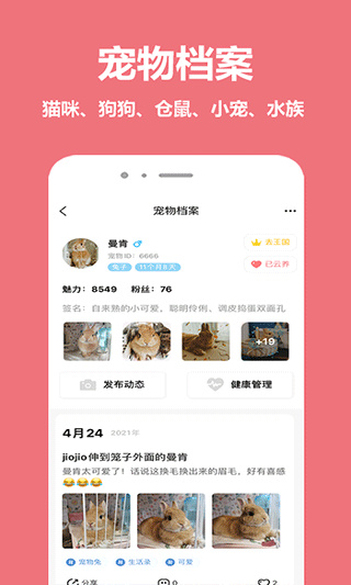 宠物王国软件下载安装