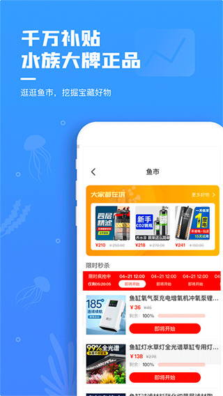 鲲天下