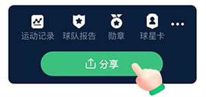 茵战团队版等级攻略