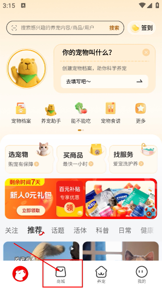 宠胖胖平台
