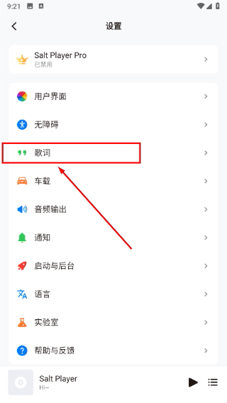 椒盐音乐车机版
