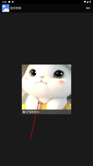 记录生命