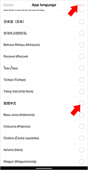 TikTok极速版app