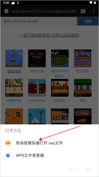 海星模拟器手机版