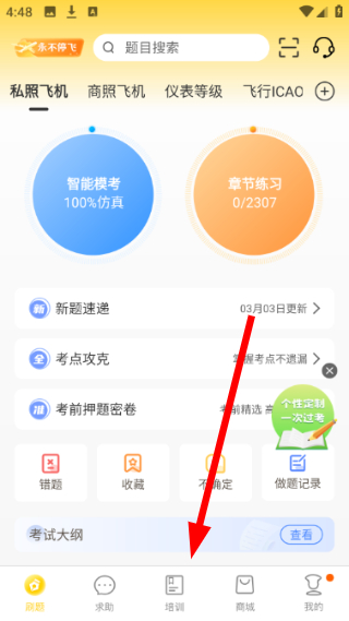 飞行之翼