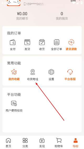 大白鲸