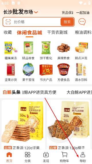 大白鲸