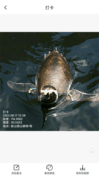 打卡定位软件