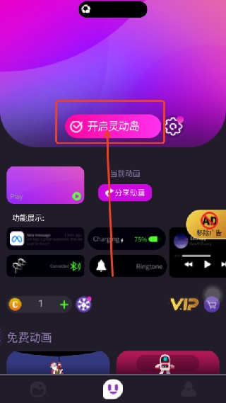 皮卡灵动岛