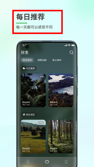 森林白噪音