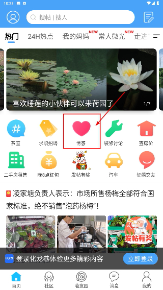 化龙巷论坛