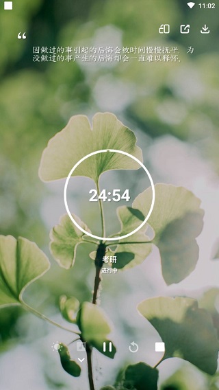 番茄
