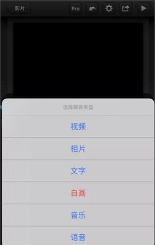 Cute CUT Pro