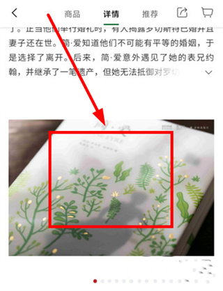 西西弗
