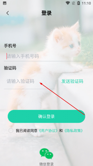 猫语翻译机免费版