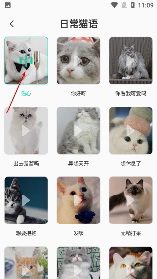 猫语翻译机