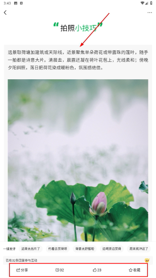 i青白江客户端