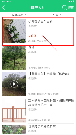 园林