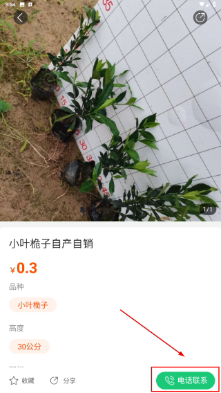 园林