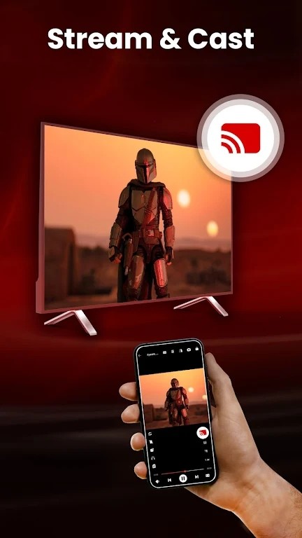 LM videodownloader