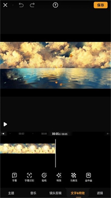 VivaVideo