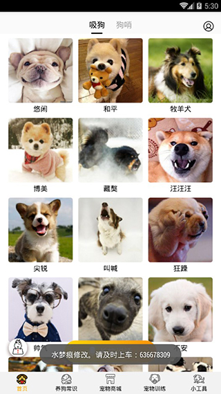 狗语翻译器