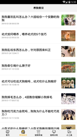 狗语翻译器