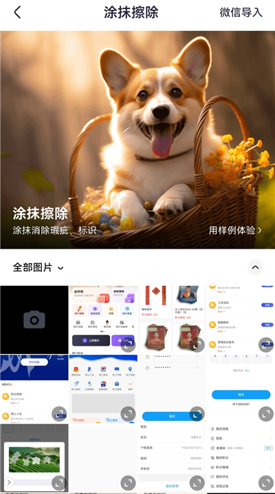 美片