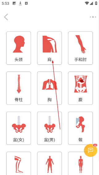3dbody解剖图