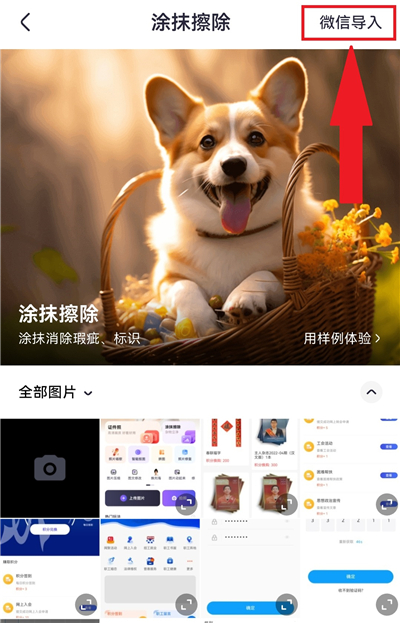 美片