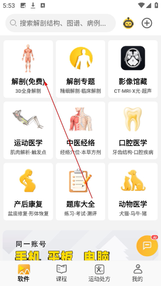 3dbody解剖图