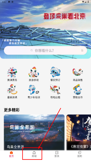 鸟巢