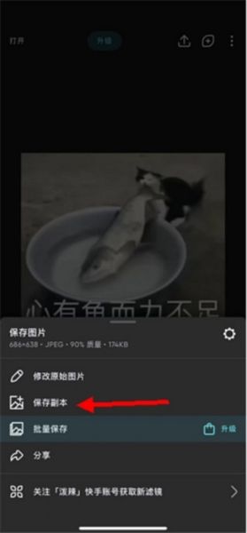 Polarr