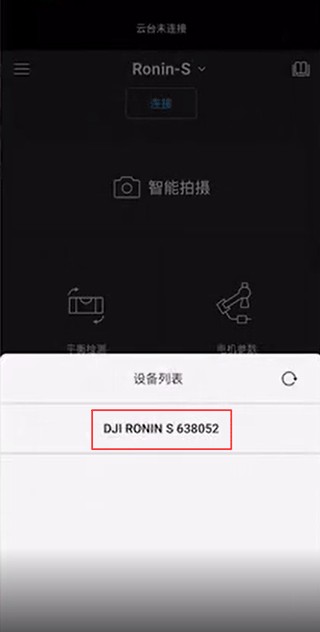 Ronin