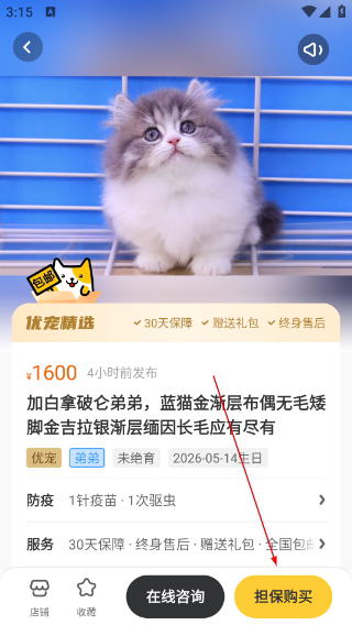 买只宠物