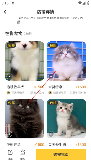 买只宠物