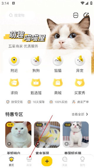 买只宠物