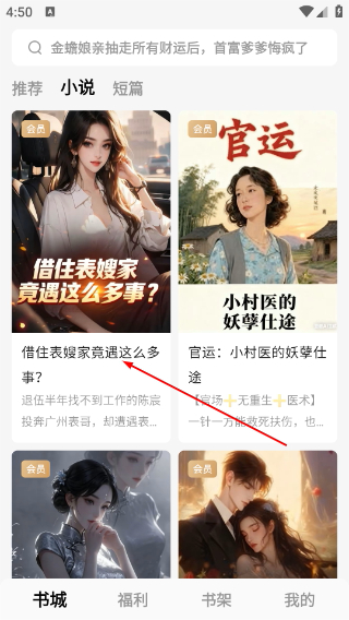 红烛小说