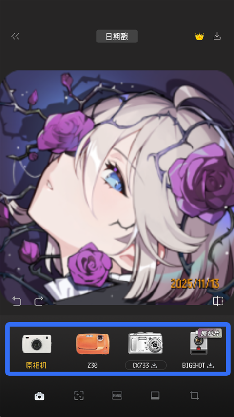 ProCCD复古CCD胶片相机