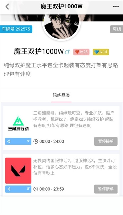 陪玩电竞