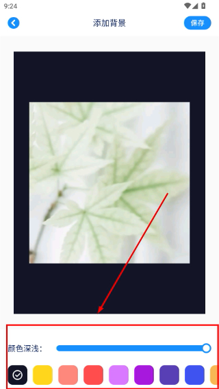 证件照拍照