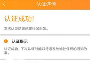 查看老来网认证结果截图3