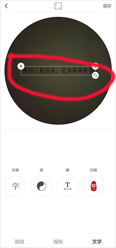VideoStar汉化版