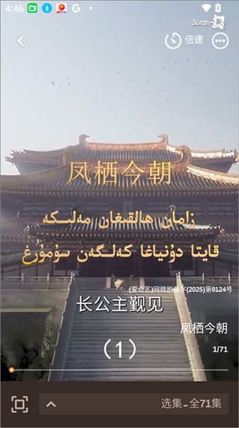 boran博燃