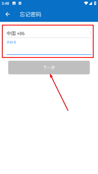 汽车猫